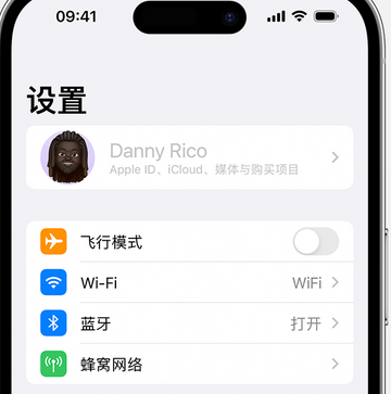 雁江appleID维修服务iPhone设置中Apple ID显示为灰色无法使用