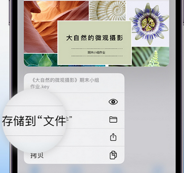 雁江apple维修中心分享iPhone文件应用中存储和找到下载文件