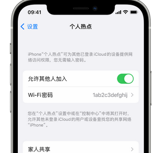 雁江apple服务站点分享iPhone上个人热点丢失了怎么办 