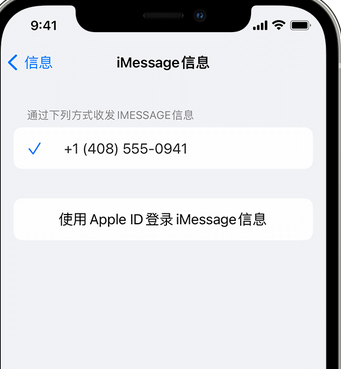 雁江apple维修iPhone上无法正常发送iMessage信息 