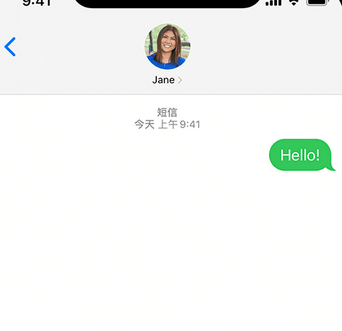 雁江apple维修iPhone上无法正常发送iMessage信息