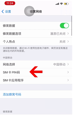 雁江苹果14维修网分享如何给iPhone14的SIM卡设置密码 