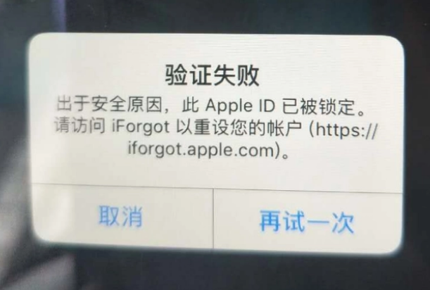 雁江iPhone维修分享iPhone上正常登录或使用AppleID怎么办 