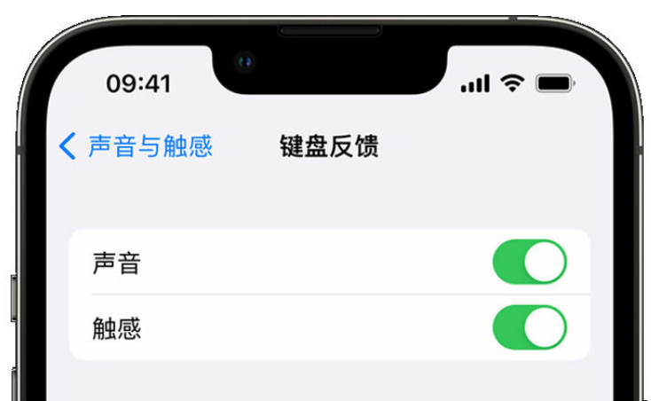 雁江苹果手机维修分享iPhone 14触感键盘使用方法 