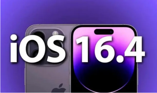 雁江苹果14维修分享：iPhone14可以升级iOS16.4beta2吗？ 