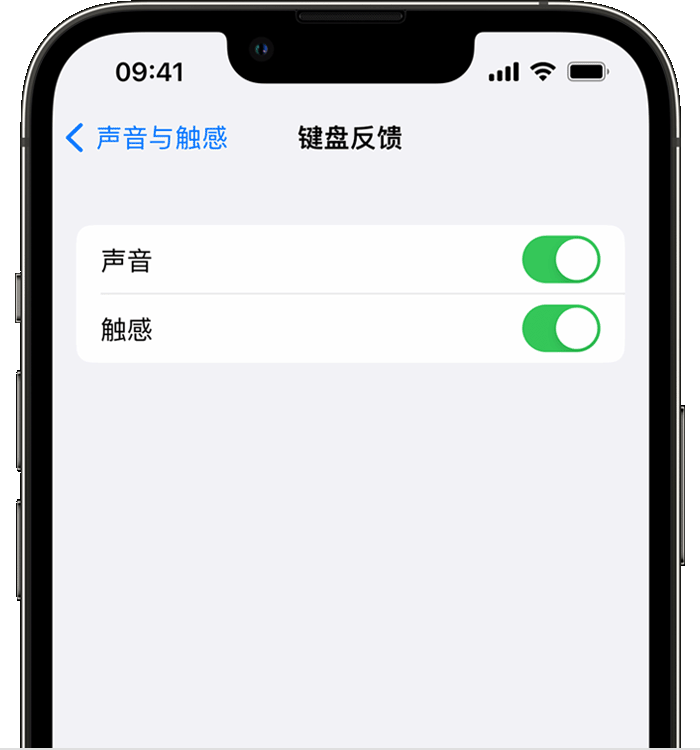 雁江苹果14维修店分享如何在 iPhone 14 机型中使用触感键盘 