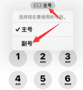 雁江苹果14维修店分享iPhone 14 Pro Max使用副卡打电话的方法 