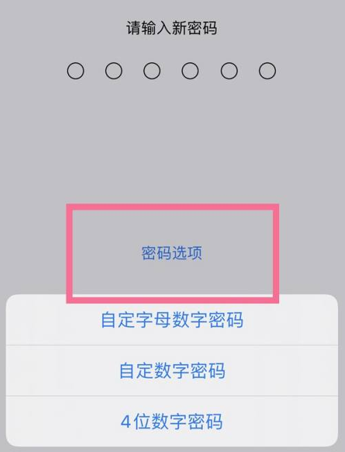 雁江苹果14维修分享iPhone 14plus设置密码的方法 