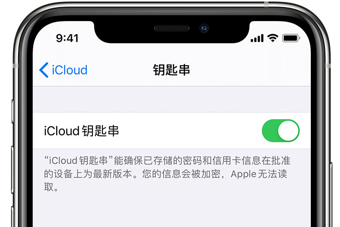 雁江苹果手机维修分享在 iPhone 上开启 iCloud 钥匙串之后会储存哪些信息 