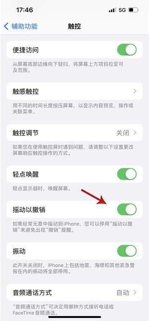 雁江苹果手机维修分享iPhone手机如何设置摇一摇删除文字 